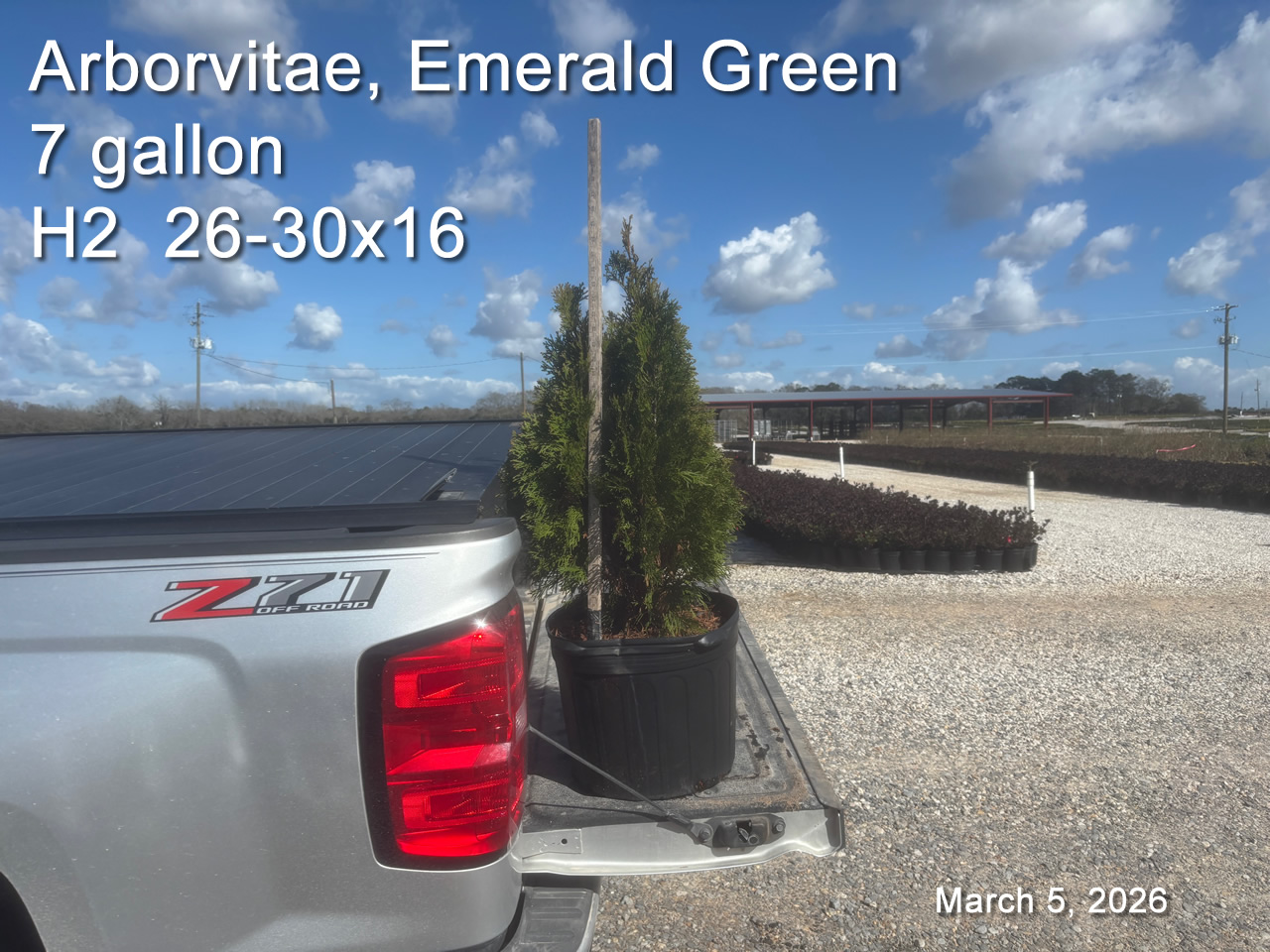 gallery/aveg7 h2 mar4.jpg